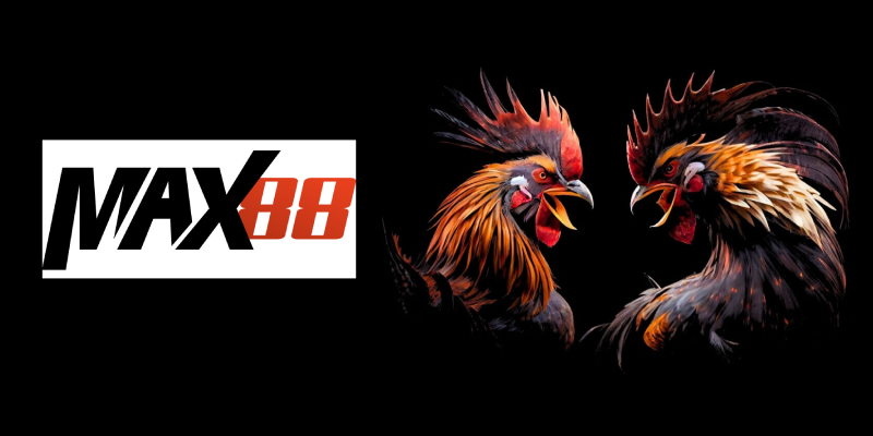 Giới Thiệu Đá gà Max88 - Trò Cá Cược Thú Vị Phổ Biến